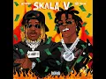 Skala V