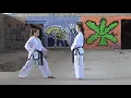 Download Lagu Sambo matsogi-gunnun so ap jomuk kaunde jirugi | 3-step sparring-walking stance middle front punch