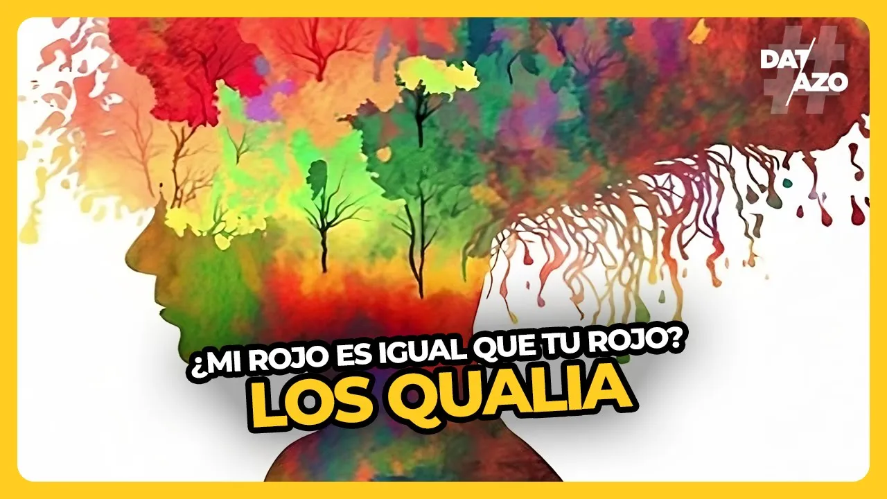 Los QUALIA | #DATAZO