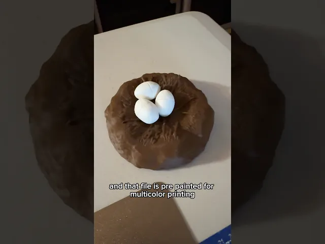 Dinosaur Nest video thumbnail