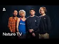 Nature TV on Audiotree Live (Full Session)