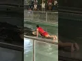 Download Lagu Thailand vlog = crocodile show
