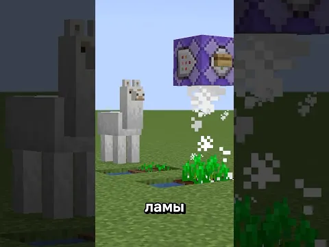 что из этого неправда?