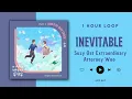 [NO ADS - 1 Hour] Suzy - Inevitable Ost Extraordinary Attorney Woo