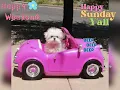 Happy Sunday Y all Happy Weekend Sunday gif What s Up Status Sunday Images