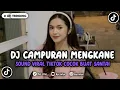 Lagu DJ CAMPURAN MENGKANE JEDAG JEDUG VIRAL TIKTOK YANG KALIAN CARI INI !