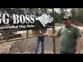 Hogg Boss Gates