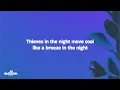 Sharks - Lil Wayne, Jelly Roll, Big Sean (Letra/Lyrics)