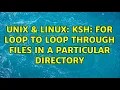 Unix Linux ksh for loop to loop through files in a particular directory