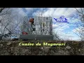 Cantec de Mugurari - пение снегиря-Bullfinch call