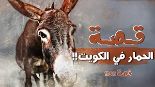 1045 قصة الحمار في الكويت  1045 قصة الحمار في الكويت