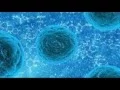 Mesothelioma Attorney Directory Find Lawyers Directory