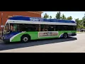 Transfort 2019 Gillig BRT Plus 42 Bus 105 Rt 10