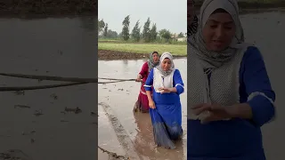 حنان مش بتاع شتل 