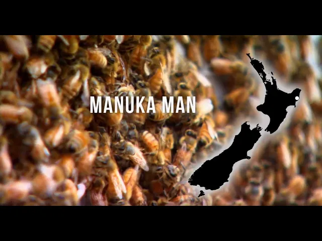Outline Video WildCape Manuka Honey | Country Calendar | Episode 26 | 2018