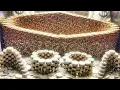 INSANE We BANKRUPTED the Casino after Their HUGE 50M HIGH-LIMIT Coin Pusher Error MUST WATCH