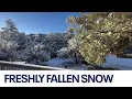 Freshly fallen snow in Prescott Arizona