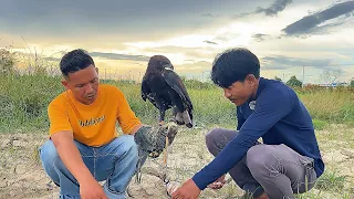 Training Wings, Building Power! 🦅🔥