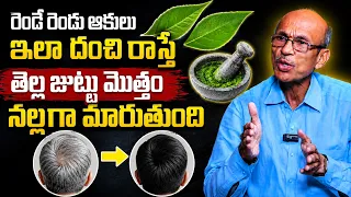 కలర్ వేయాల్సిన అవసరమే లేదు | Hair Ayurveda Tips | Dr Madhusudana Sharma