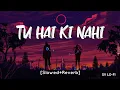 Download Lagu Tu Hai Ki Nahi [Slowed+Reverb] Ankit Tiwari | Roy | SV Lofi