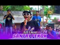 SANTRI PEKOK - ARIF CITENX || ONE PRO ( Live Pemuda Aseman Rebound )
