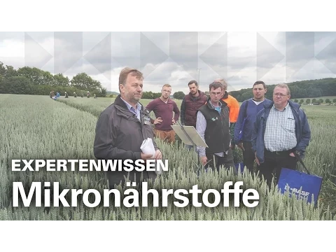 Download MP3 EXPERTENWISSEN: Mikronährstoffe