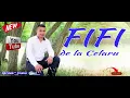 Lagu FRUNZULITA VIORELE DIN TOATE MANDRELE MELE █▬█ █ ▀█▀ Cea mai smechera SARBA cu FIFI de la Celaru