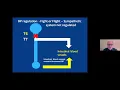 Neurogenic Bladder After SCI Common Questions and Misconceptions