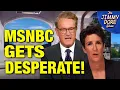 Download Lagu MSNBC Does COMPLETE REBRAND In Desperate Scramble To Stay Relevant!