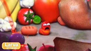 Pit | 구멍 | Animation Compilation | Larva Tuba | Official