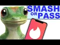 INSURANCE MASCOTS - SMASH OR PASS