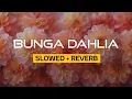 Download Lagu BUNGA DAHLIA (slowed+reverb)