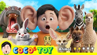 Find the longest & largest animals! ⭐ㅣanimals quiz for kids ㅣCoCosToy