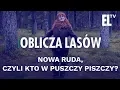 Download Lagu Nowa Ruda, czyli kto w puszczy piszczy? | Oblicza Lasów #50