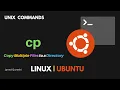 How to Copy Multiple Files to a Linux Directory Using cp Command in Linux Terminal