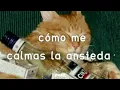 Puchito - lázaro suplika dopamina (Letra)