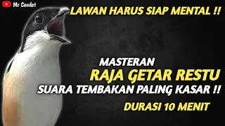 masteran raja getar restu suara tembakan paling kasar durasi 10 menit 