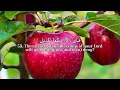 Download Lagu Surah Ar Rahman - Heart Touching Quran Recitation by Yasser Al Zailai