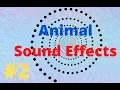 Lagu Top 5 animal sound effects ||video||movie | Top 5 hiệu ứng tiếng kêu động vật #2