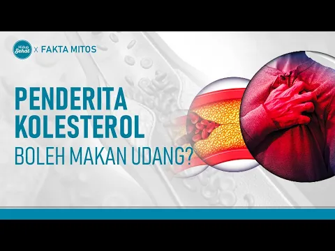 Bolehkah Penderita Kolesterol Makan Udang?