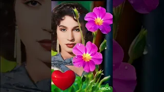 فايزه احمد  بصراحه وبكل صراحه دندنها