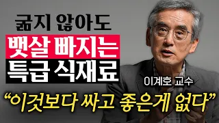"굶기는 답이 아닙니다." 저절로 살 빠지는 체질이 되는 구체적인 방법 (이계호 교수 1부)