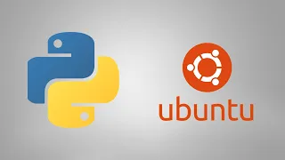 How to Install Python 2 7 and Python 3 on Ubuntu 18 04 WSL with 2 Commands Only
