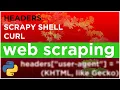 How To Use HEADERS in SCRAPY SHELL Python Requests and CURL - code examples