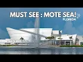 Inside the NEW Mote Marine Aquarium Sarasota s 130M Ocean Experience Full Tour Animals