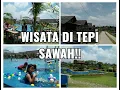 Download Lagu WISATA KAMPUNG TEPI SAWAH BOJA KENDAL