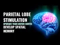 Parietal Lobe Sensory Integration Upgrade Your Motor Cortex Develop Spatial Memory Brainwave
