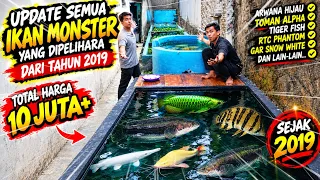 10 JUTA LEBIH!  UPDATE, SPILL HARGA & KASIH MAKAN SEMUA IKAN MONSTER