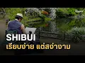 Download Lagu Shibui: ศิลปะแห่งการใช้ชีวิตแบบเรียบง่าย แต่มีคุณค่าที่สุด