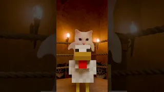OIIA Cat X Chicken Jockey  OIIA Cat X Chicken Jockey